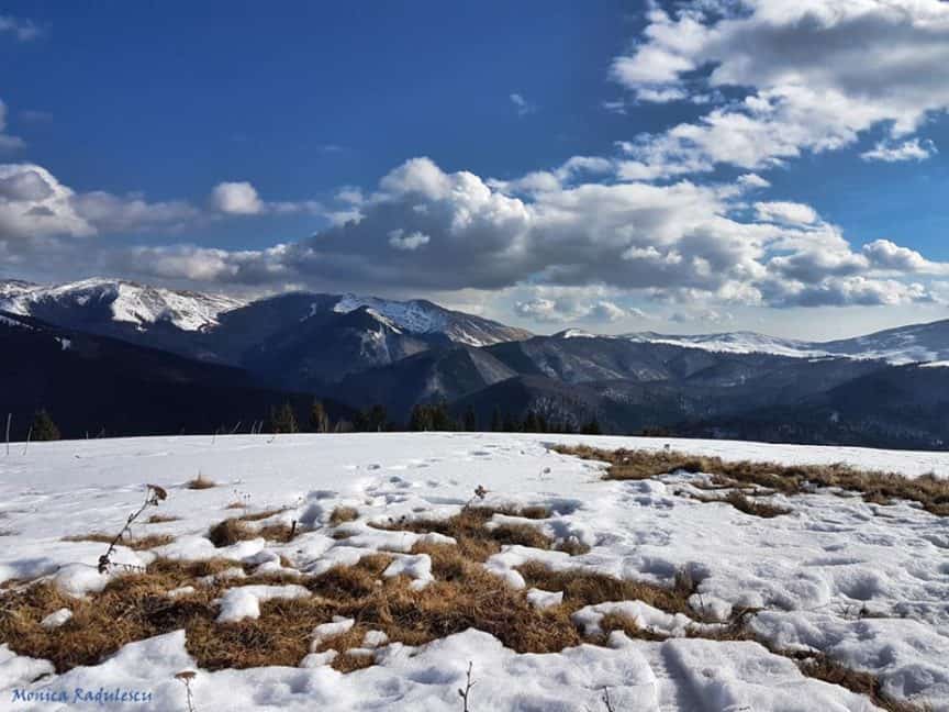 Polarizing Filters