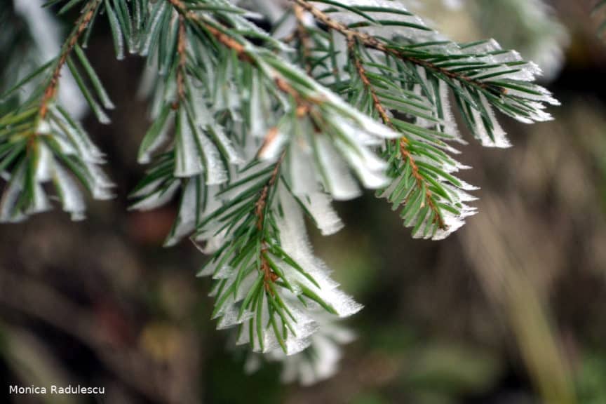 depth of field