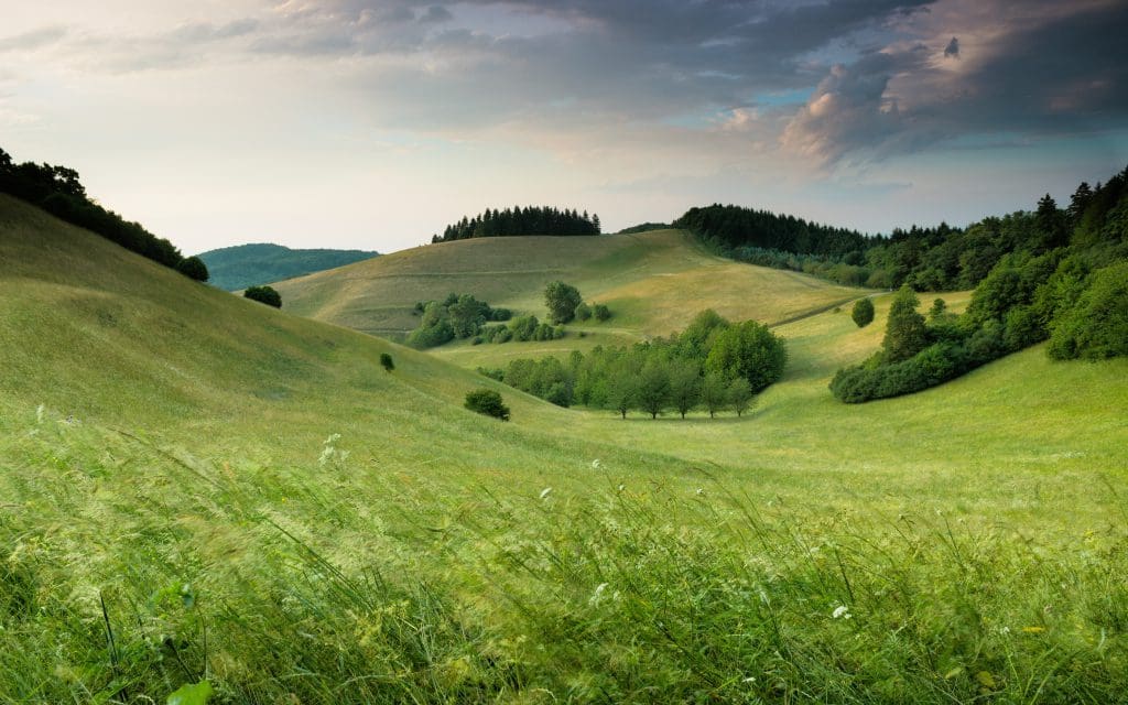 Landscape Photography Green Valley with a dramatic sky