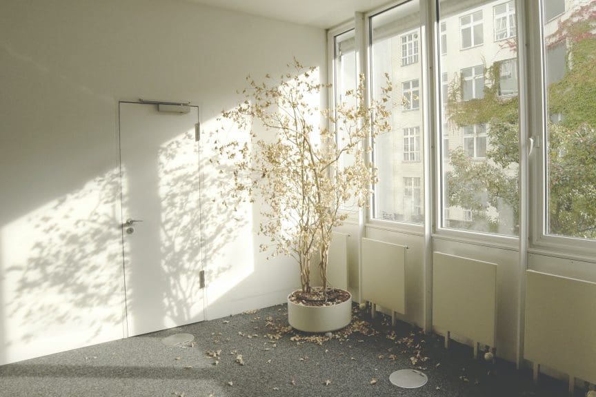 Natural Light for Indoor Pictures
