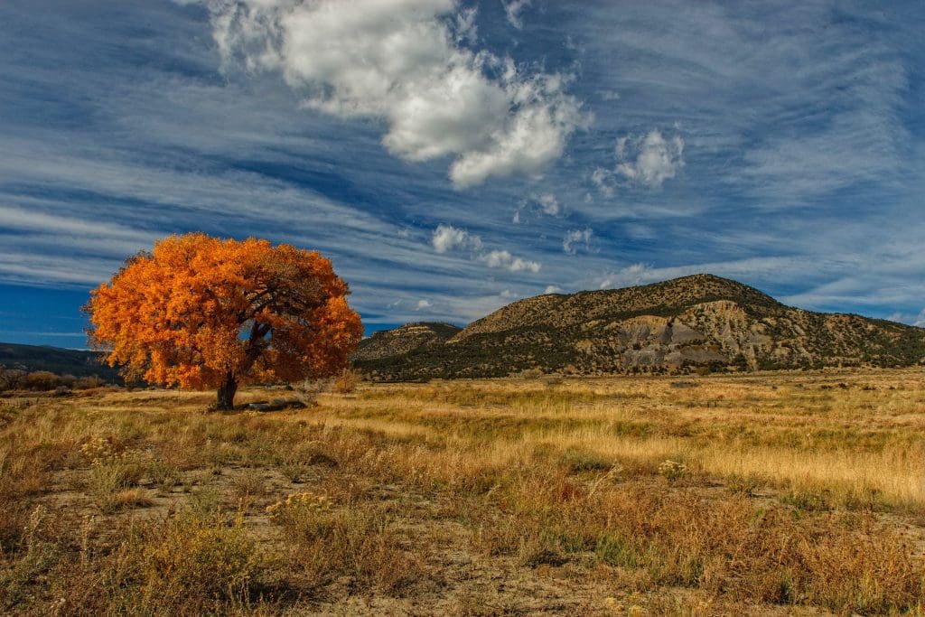 Autumn Landscapes