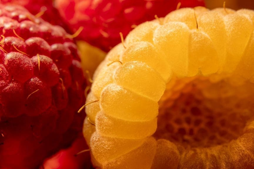 Better Food Photography Compositions