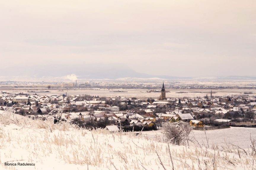 Editing Winter Landscape