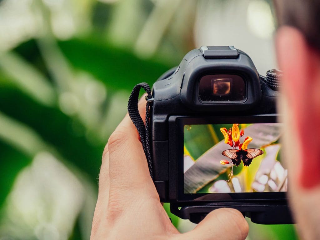 use your DSLR camera to shoot videos