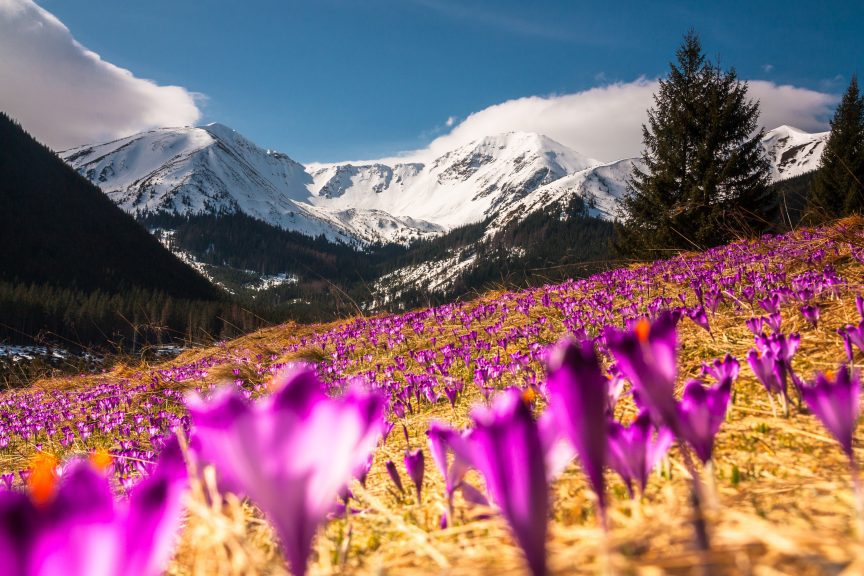 Spring Landscape Photography