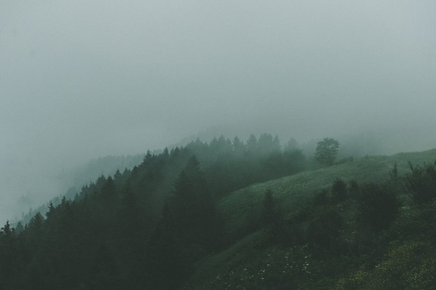 Photography and Rain